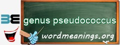 WordMeaning blackboard for genus pseudococcus